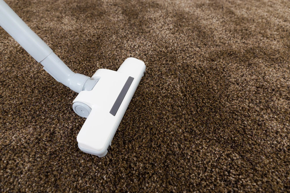 Eco friendly carpet cleaning service in Brisbane homes
