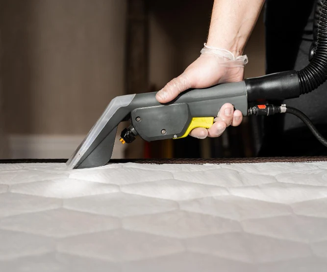 Professional mattress cleaning removing dust and allergens